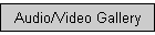 Audio/Video Gallery